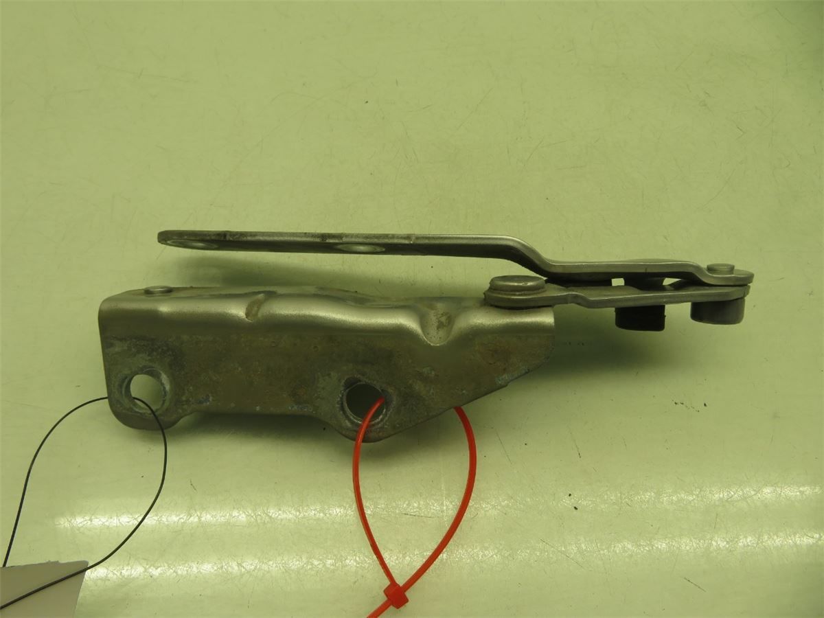 Panser Hengsel / Hengsler – bilde 2