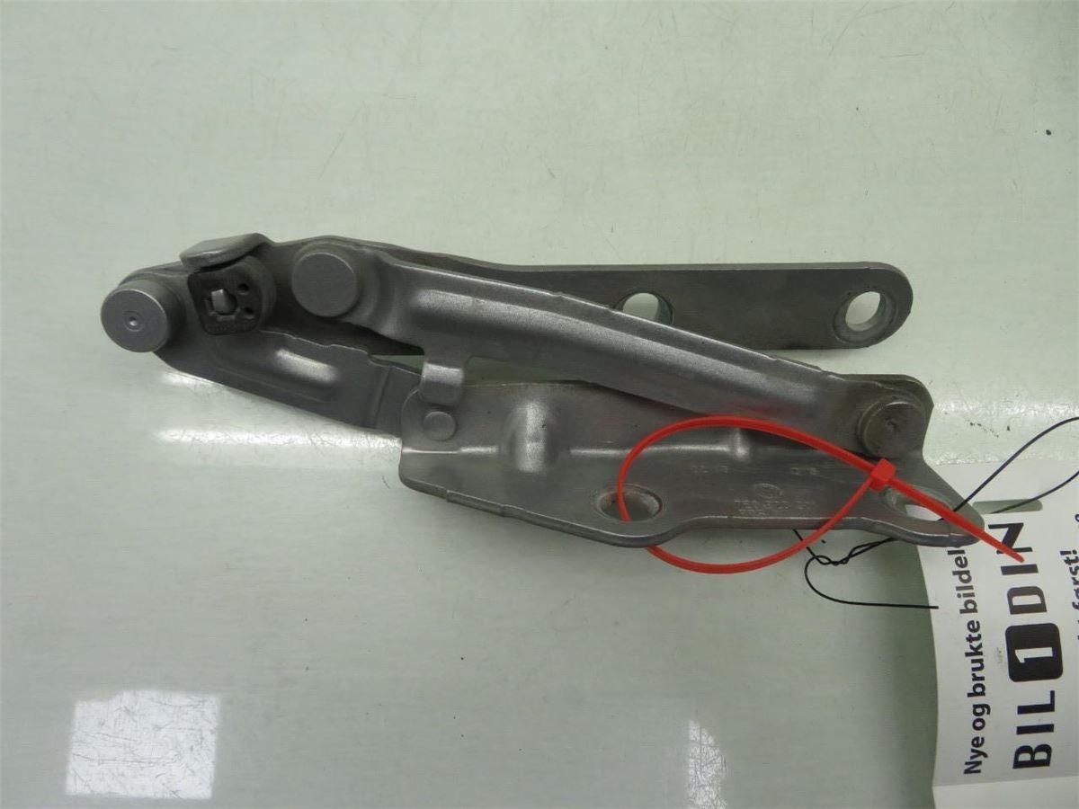 Panser Hengsel / Hengsler – bilde 3