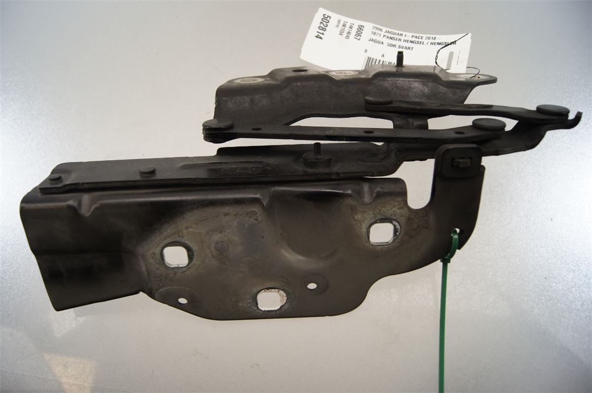 Panser Hengsel / Hengsler – bilde 2