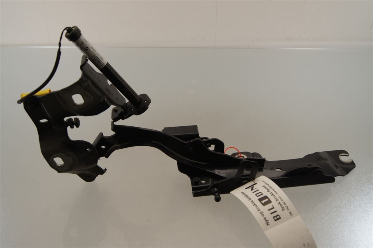 Panser Hengsel / Hengsler – bilde 1