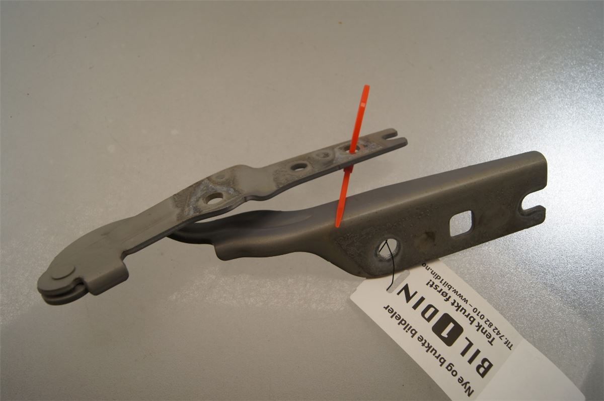 Panser Hengsel / Hengsler – bilde 3