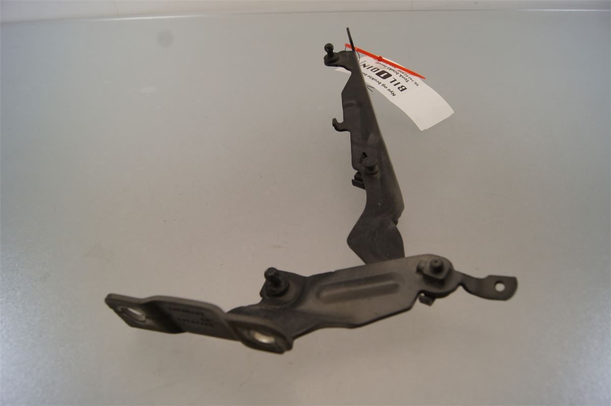 Panser Hengsel / Hengsler – bilde 2