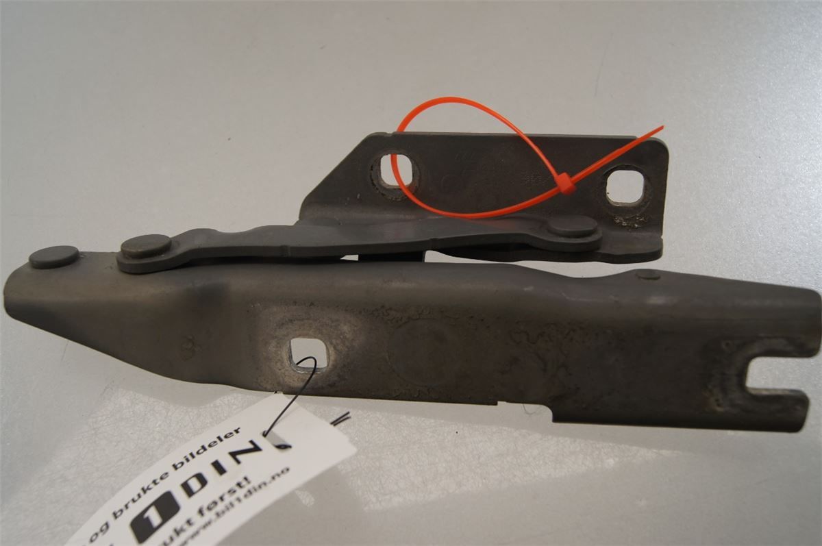 Panser Hengsel / Hengsler – bilde 1