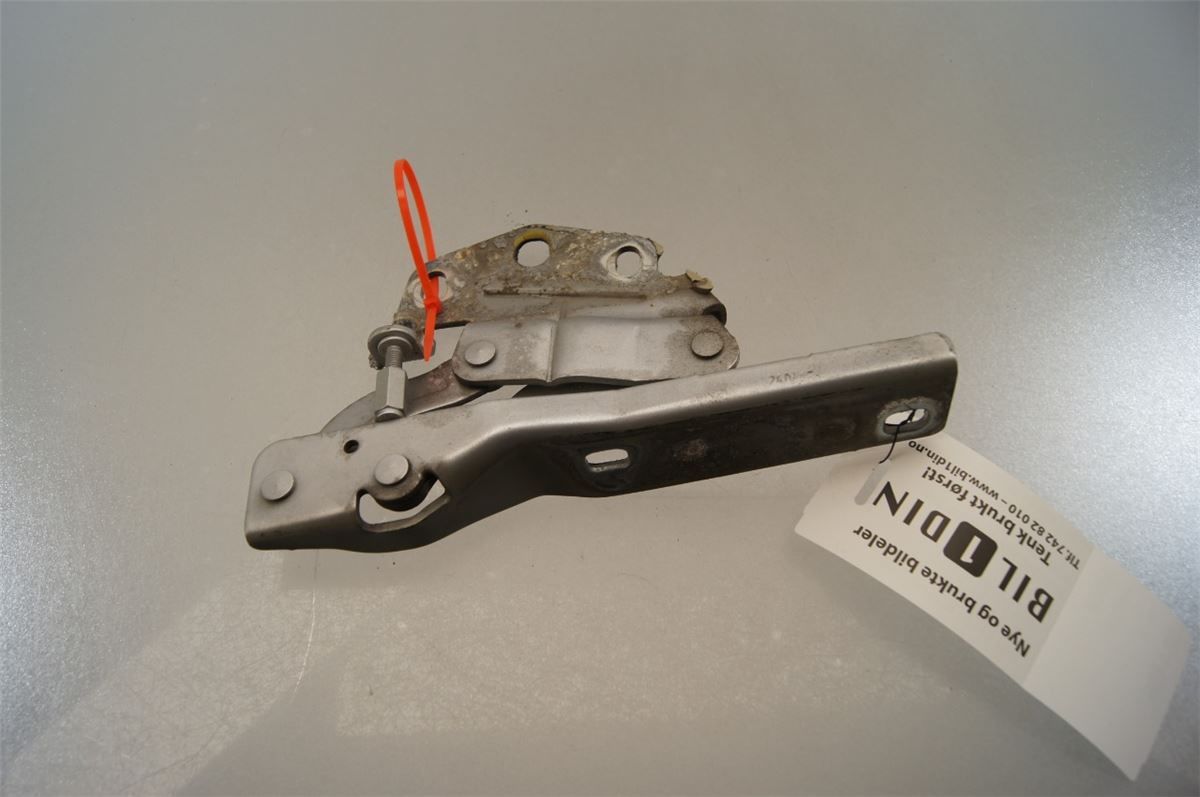 Panser Hengsel / Hengsler – bilde 2