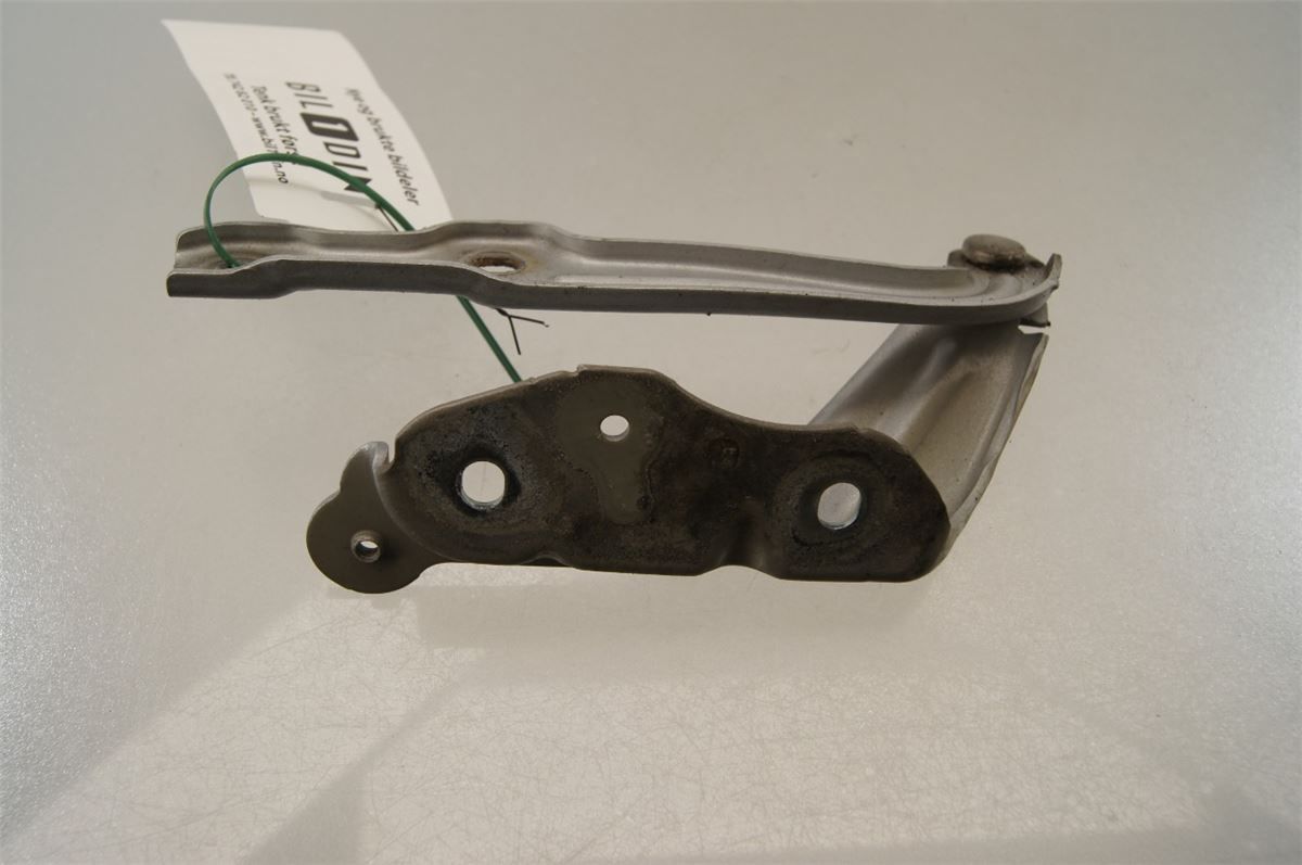 Panser Hengsel / Hengsler – bilde 1