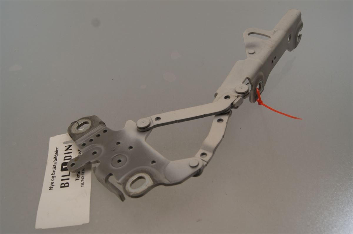 Panser Hengsel / Hengsler – bilde 2