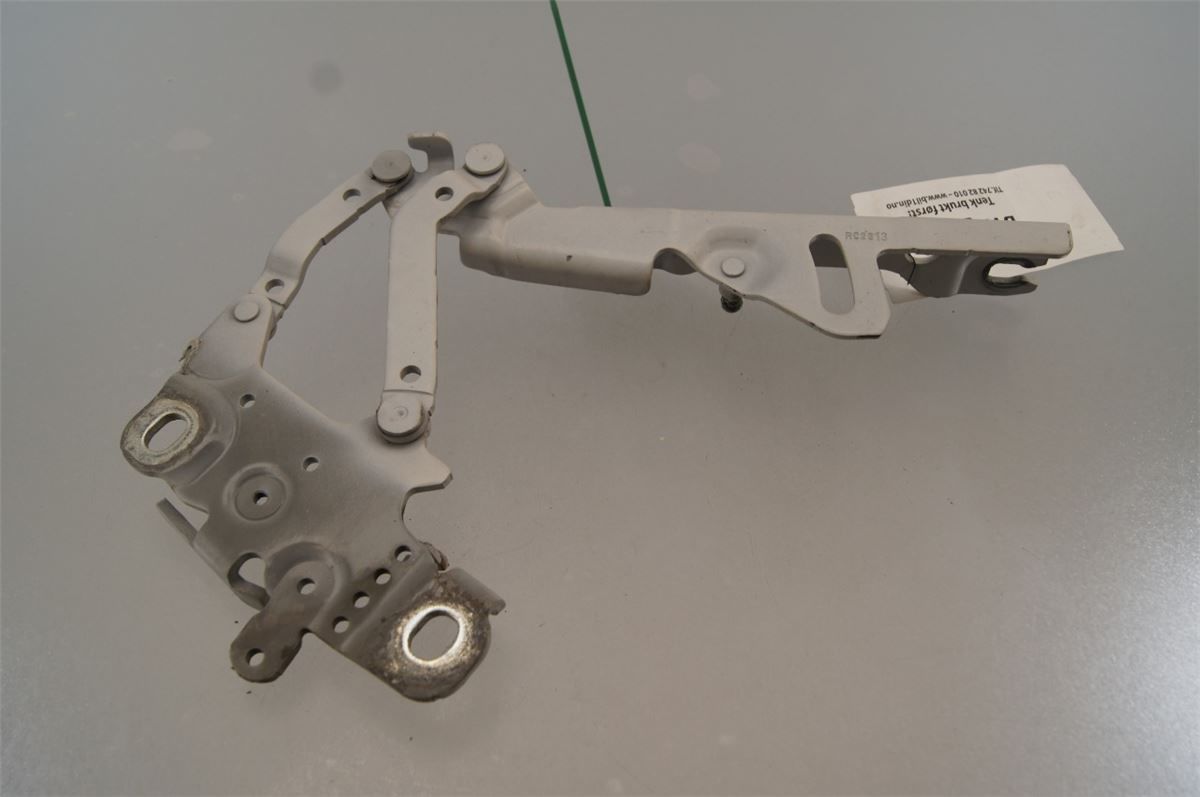 Panser Hengsel / Hengsler – bilde 3