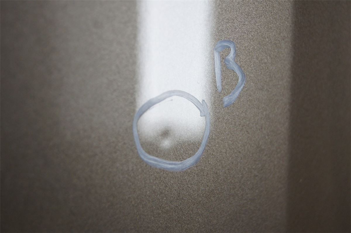 Panser – bilde 2