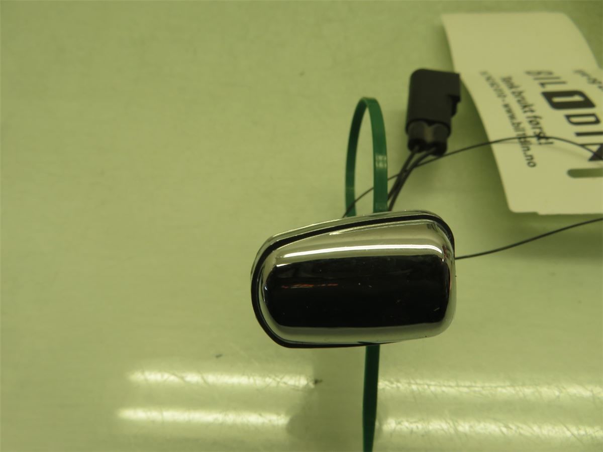 Spylerdyse Ruter – bilde 3