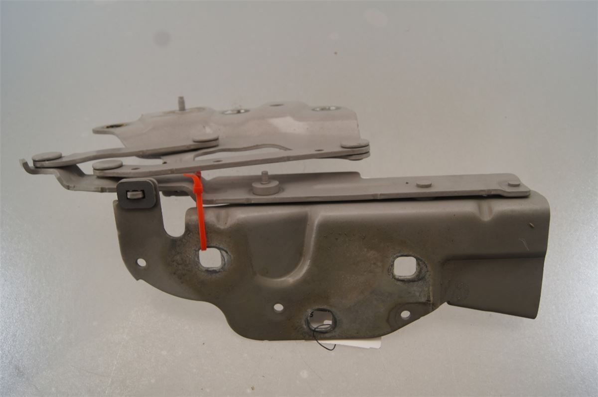 Panser Hengsel / Hengsler – bilde 2