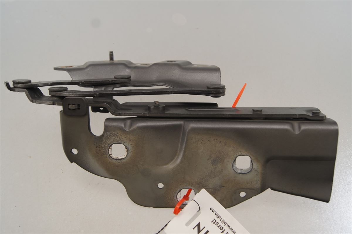 Panser Hengsel / Hengsler – bilde 2
