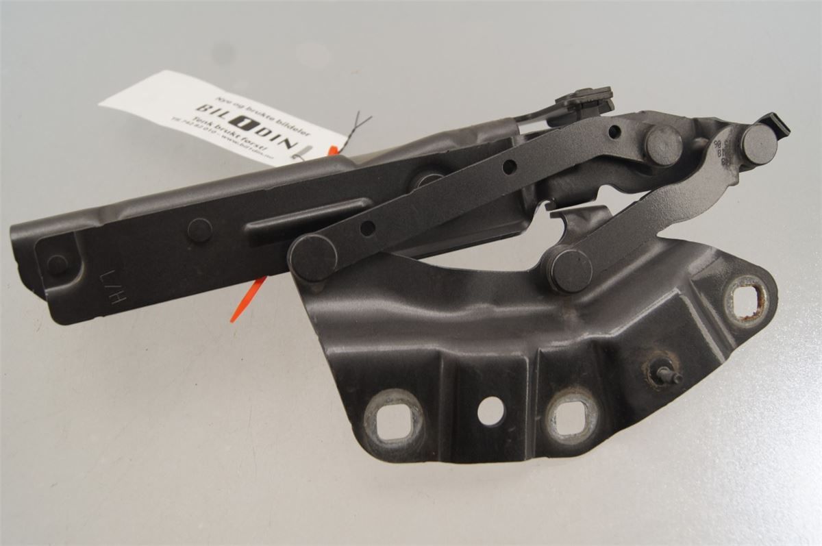Panser Hengsel / Hengsler – bilde 3