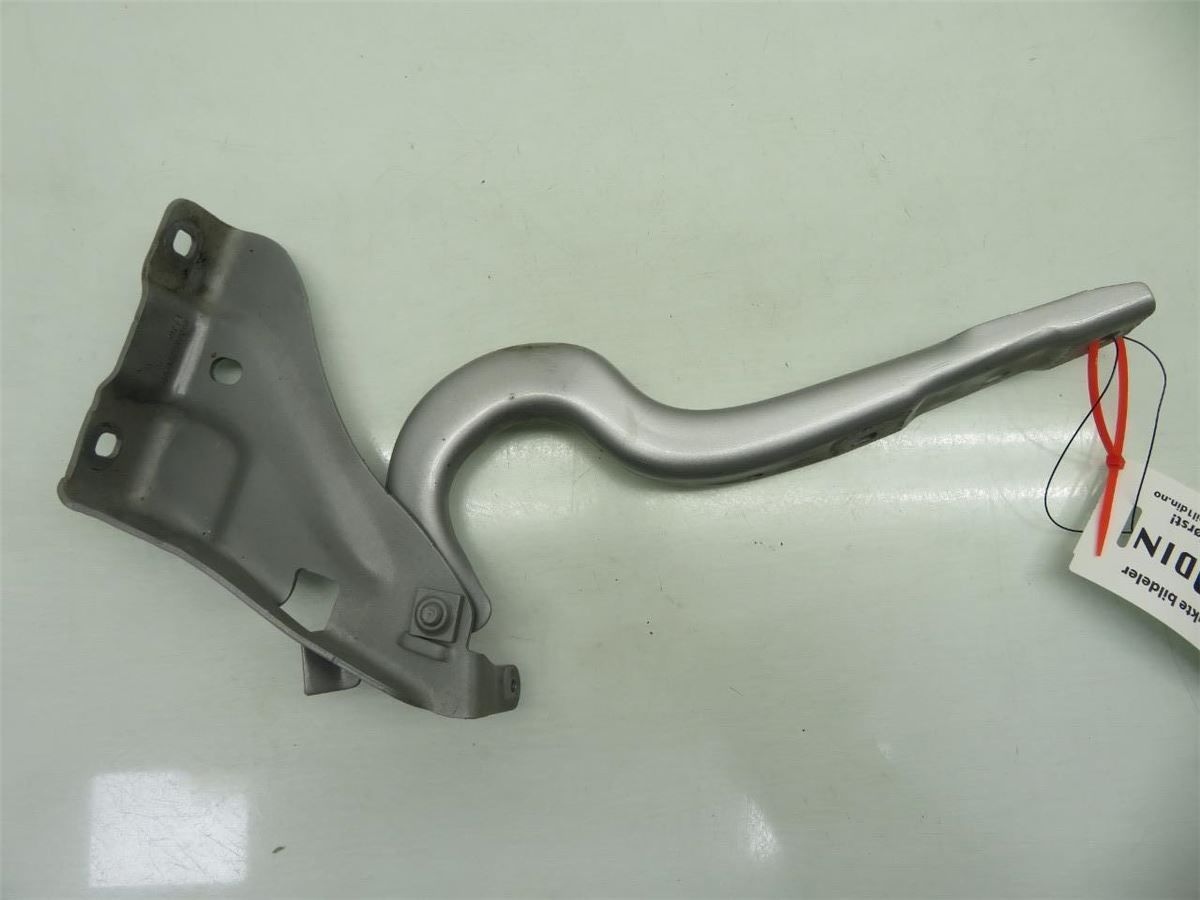 Panser Hengsel / Hengsler – bilde 1