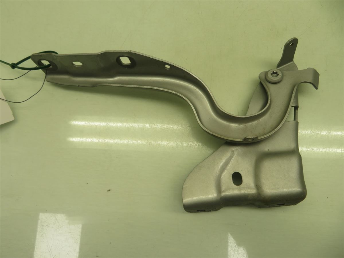 Panser Hengsel / Hengsler – bilde 2