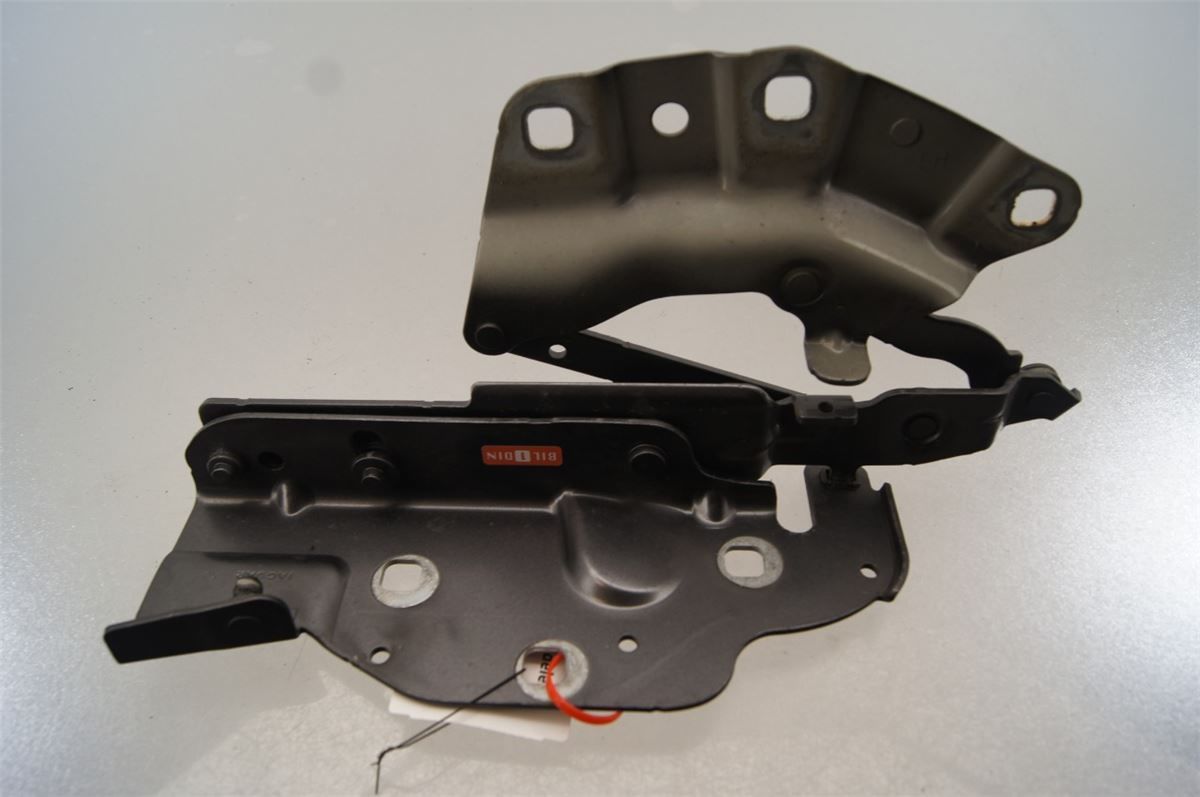 Panser Hengsel / Hengsler – bilde 1