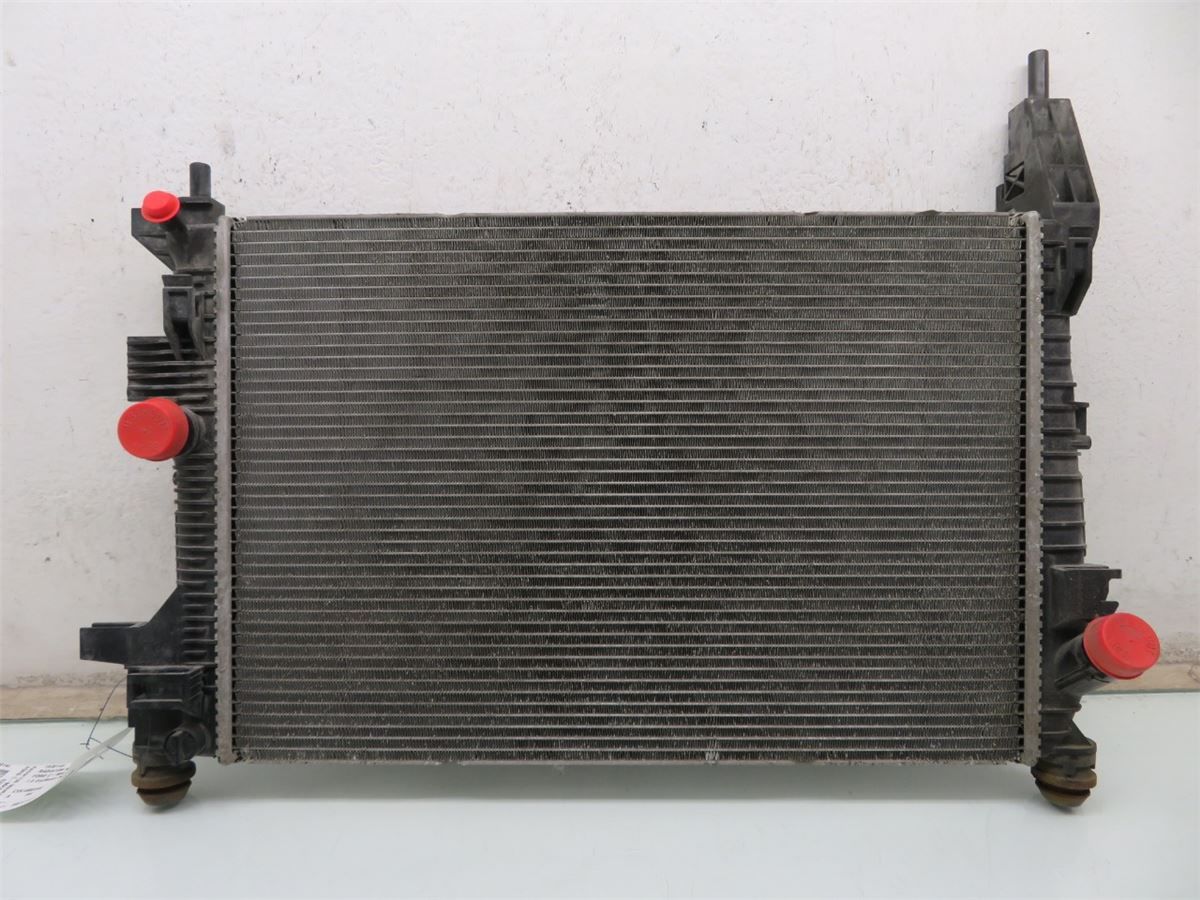 Radiator Manuell – bilde 1