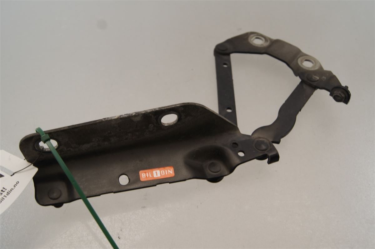 Panser Hengsel / Hengsler – bilde 1