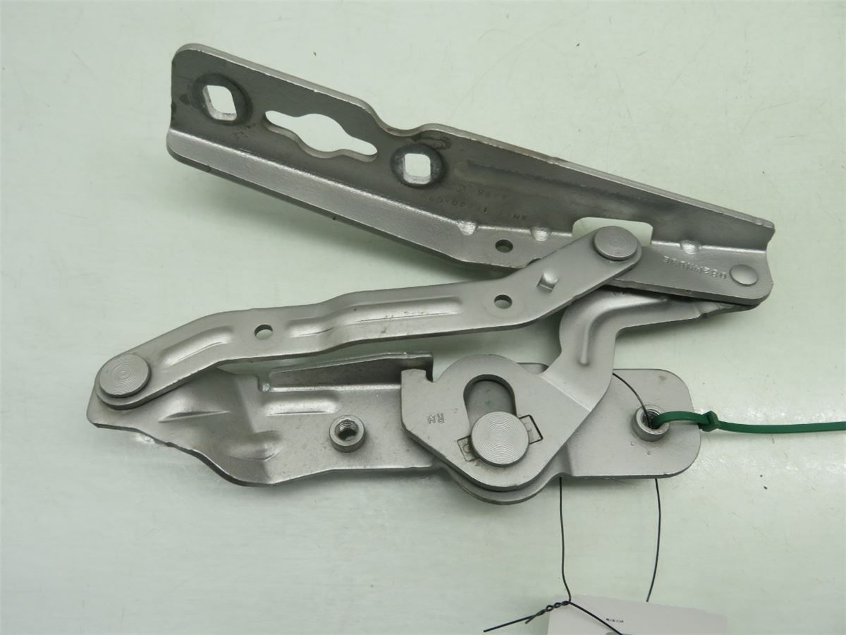 Panser Hengsel / Hengsler – bilde 1