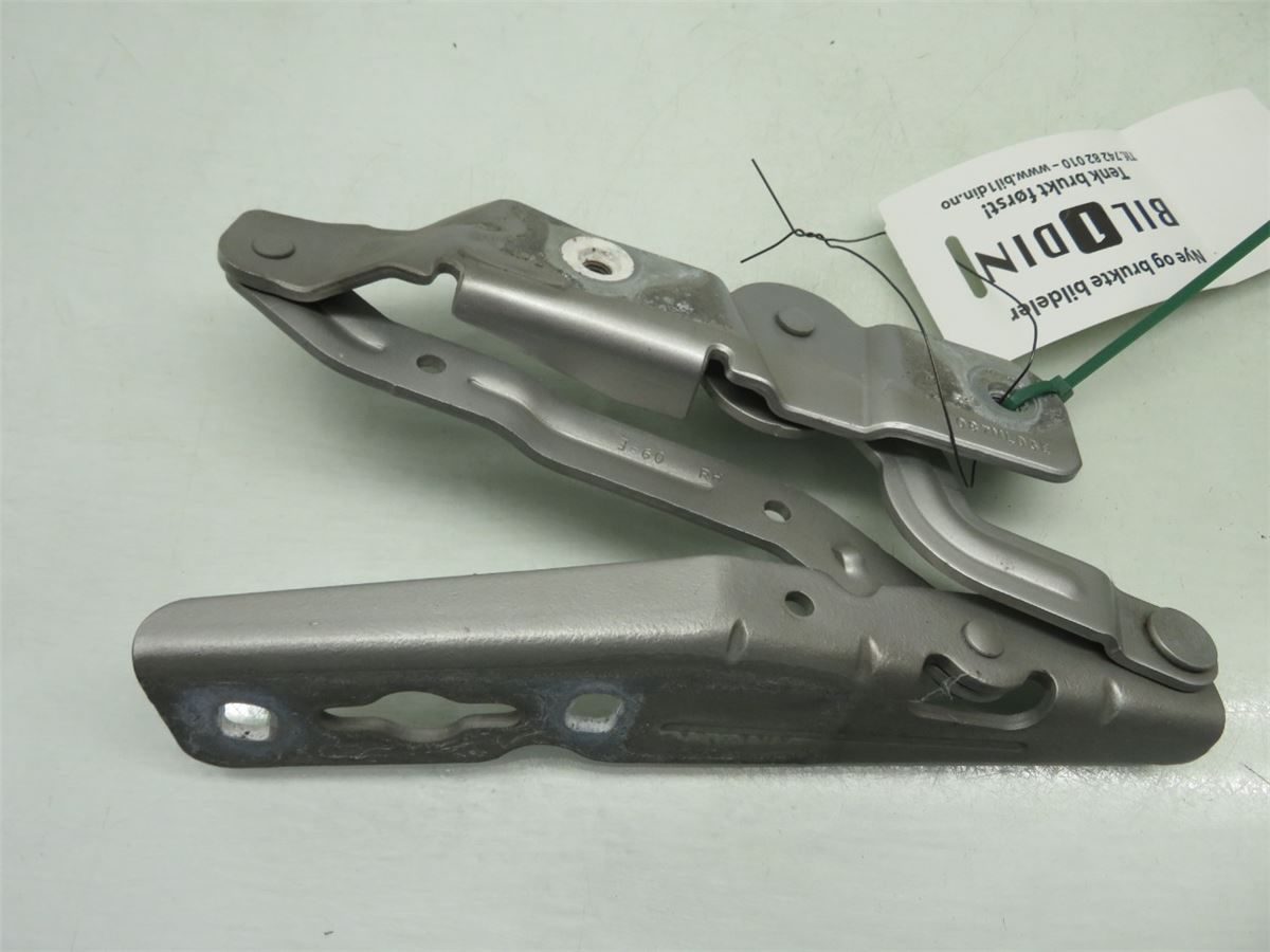 Panser Hengsel / Hengsler – bilde 2