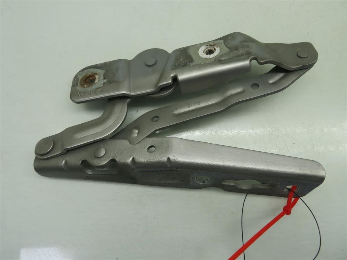 Panser Hengsel / Hengsler – bilde 2