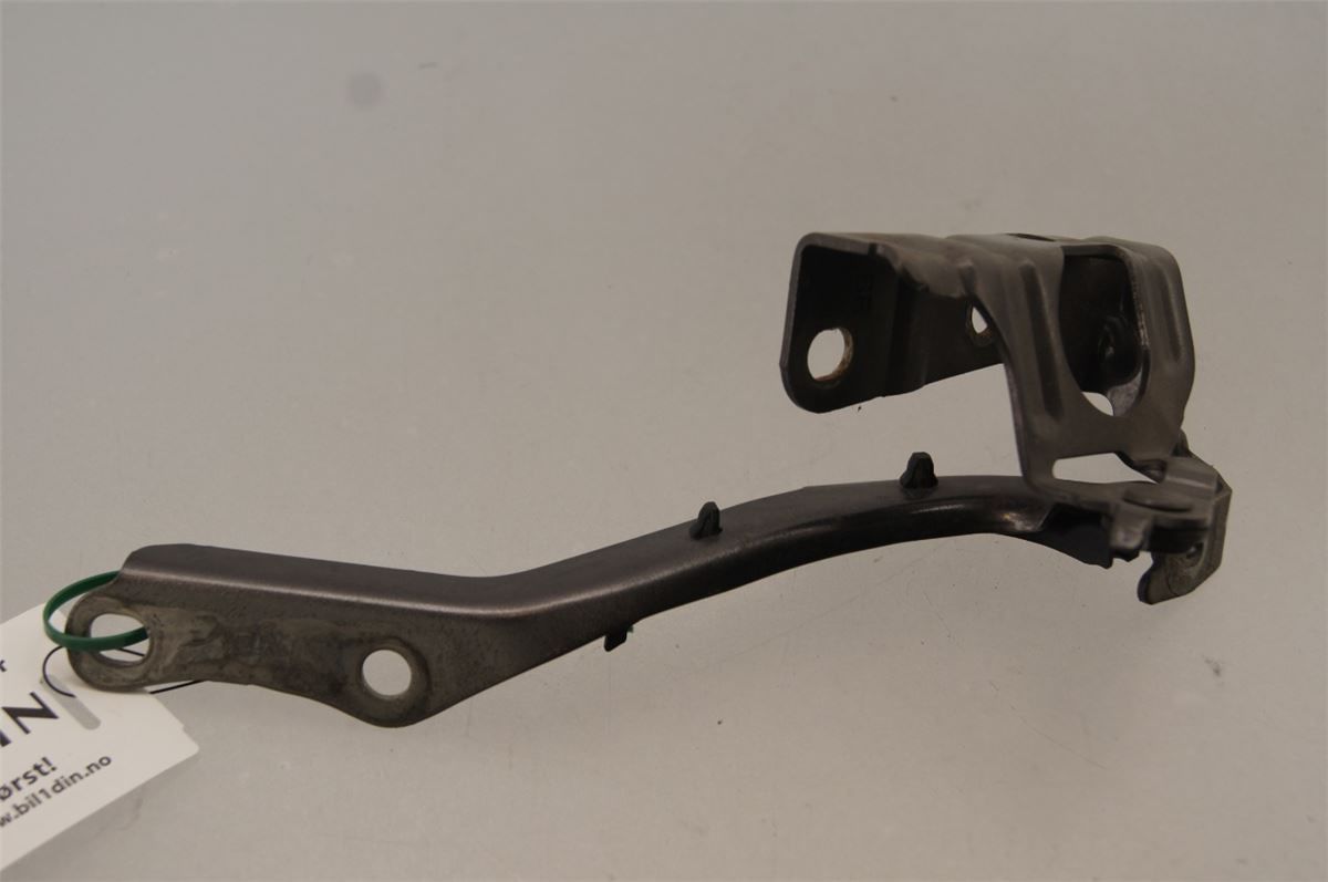 Panser Hengsel / Hengsler – bilde 1