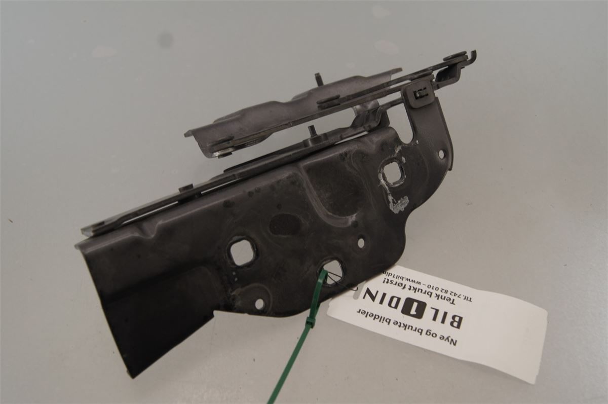 Panser Hengsel / Hengsler – bilde 3