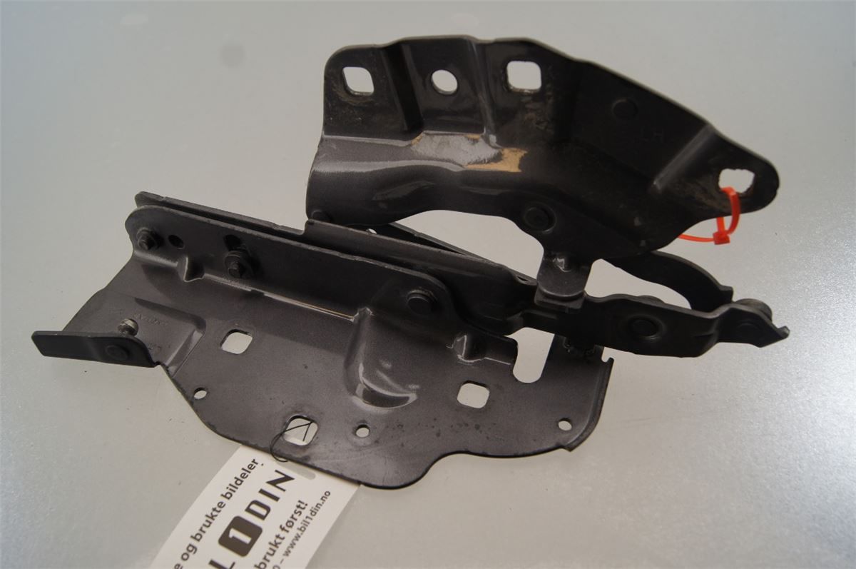 Panser Hengsel / Hengsler – bilde 1