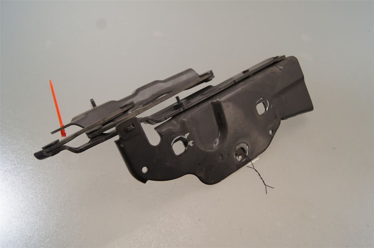 Panser Hengsel / Hengsler – bilde 3