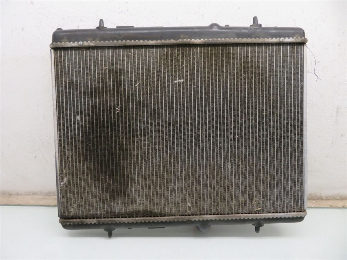 Radiator Manuell – bilde 2
