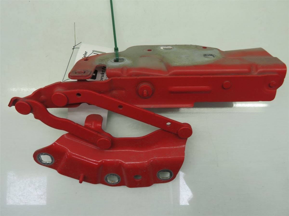 Panser Hengsel / Hengsler – bilde 3