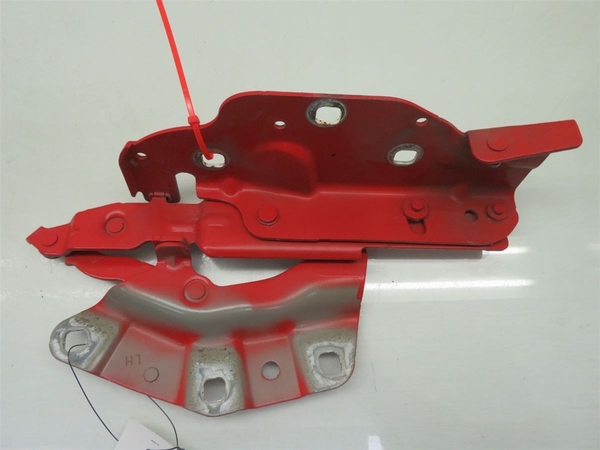 Panser Hengsel / Hengsler – bilde 1