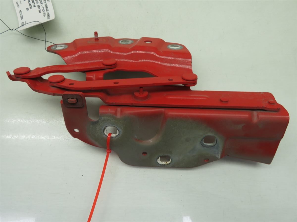 Panser Hengsel / Hengsler – bilde 3