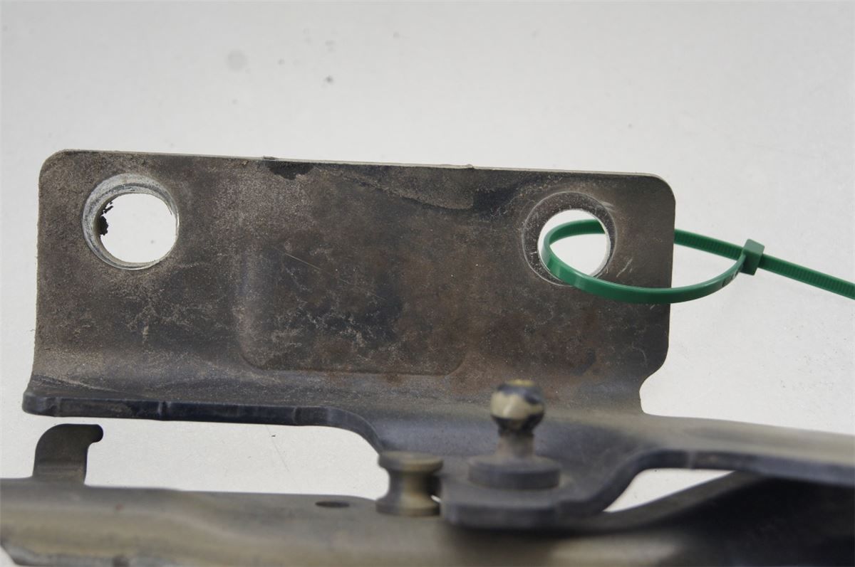 Panser Hengsel / Hengsler – bilde 5