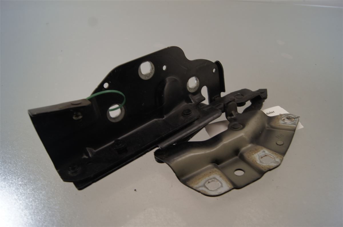 Panser Hengsel / Hengsler – bilde 3