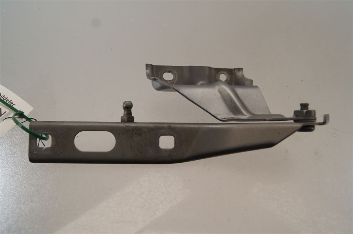 Panser Hengsel / Hengsler – bilde 1