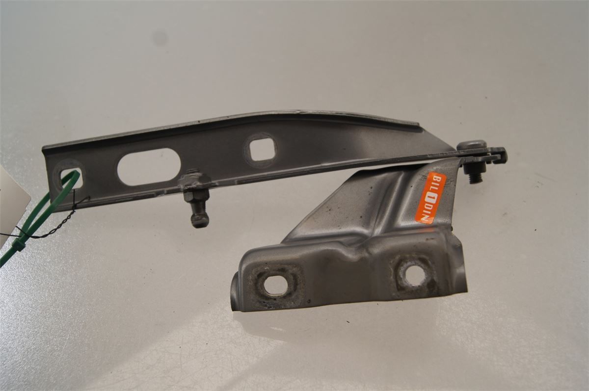 Panser Hengsel / Hengsler – bilde 2