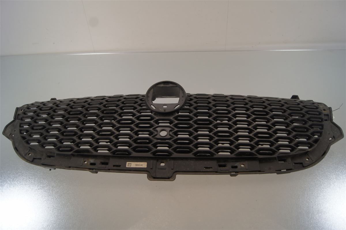 Grill / Gitter – bilde 1