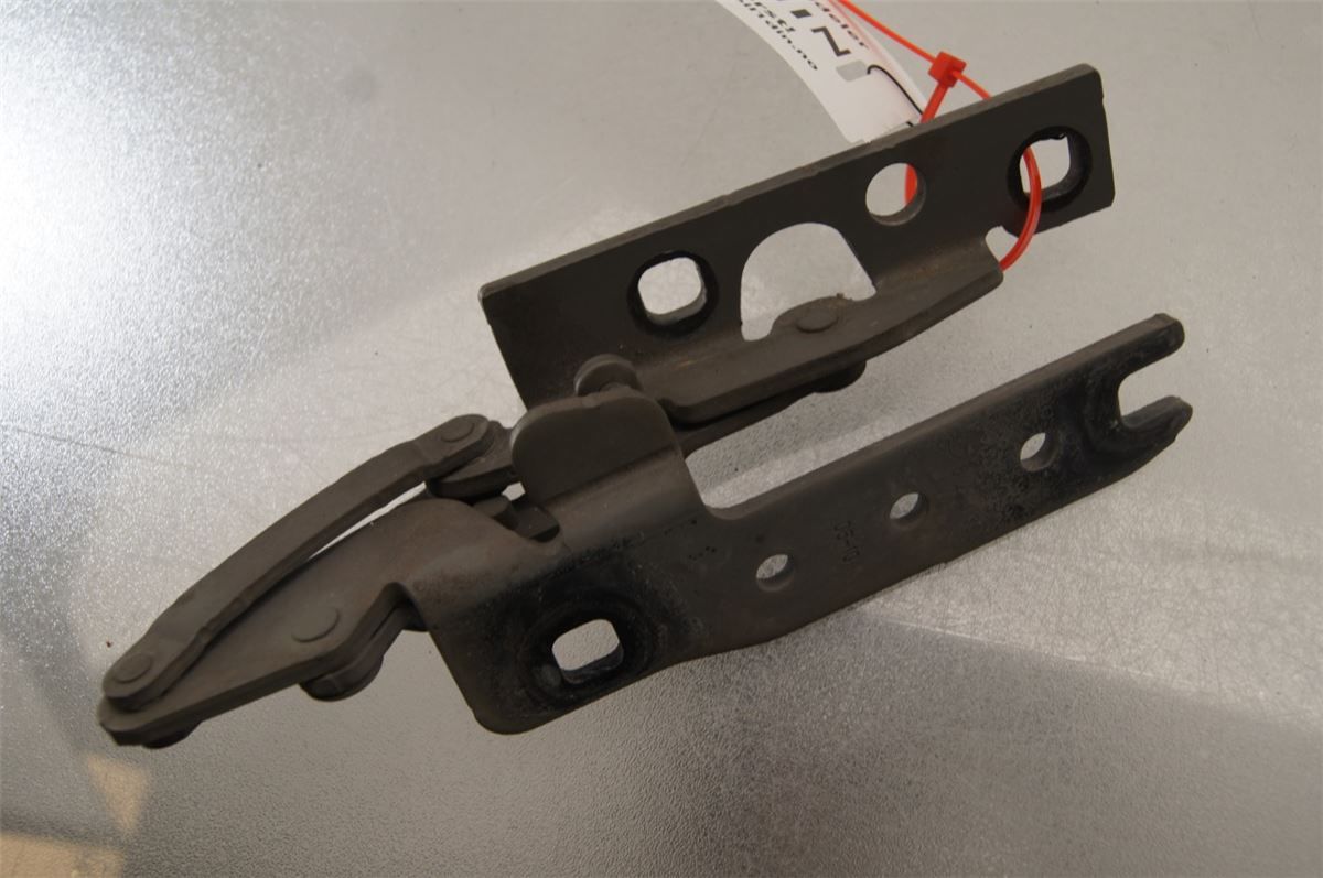 Panser Hengsel / Hengsler – bilde 1