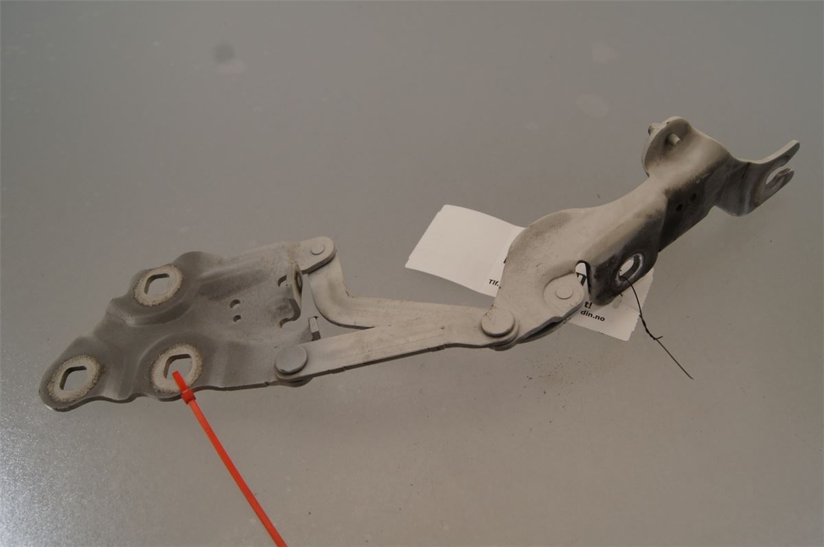 Panser Hengsel / Hengsler – bilde 2