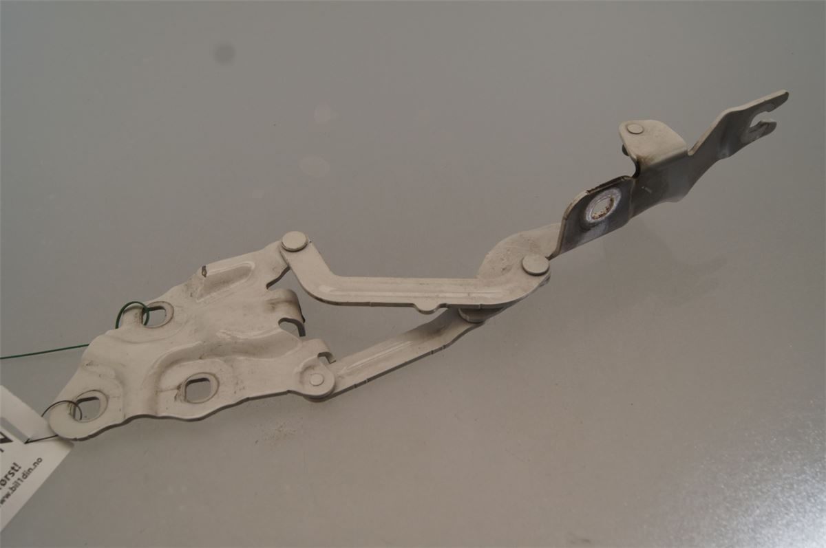 Panser Hengsel / Hengsler – bilde 3
