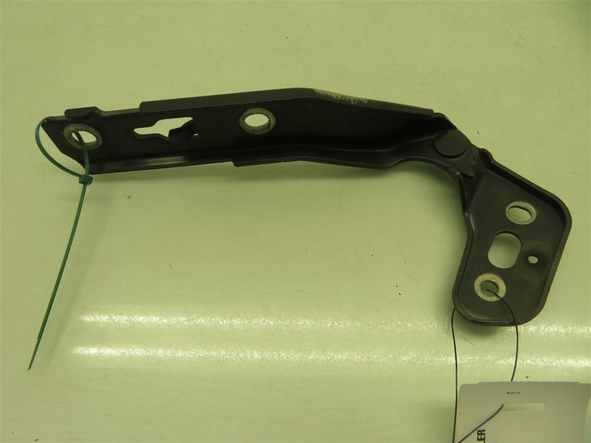 Panser Hengsel / Hengsler – bilde 2