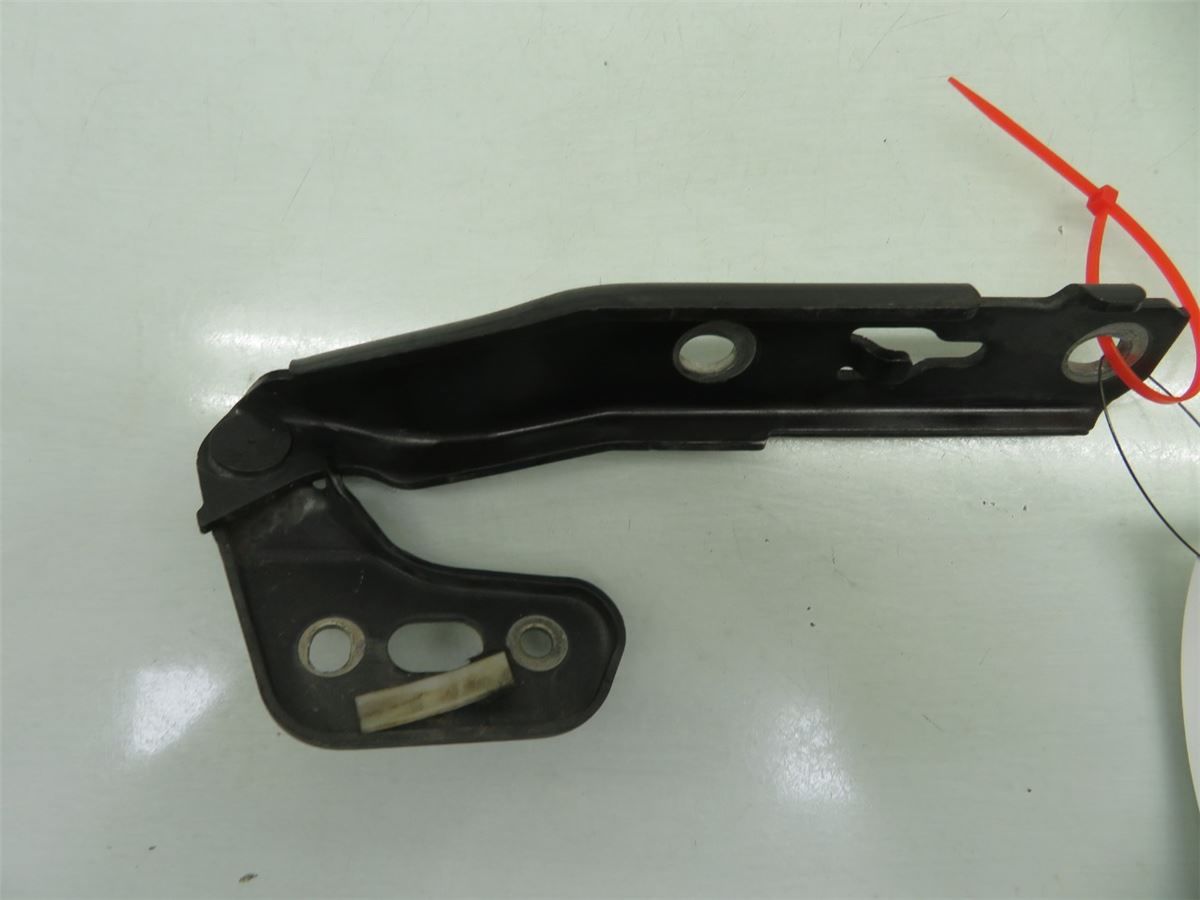 Panser Hengsel / Hengsler – bilde 1