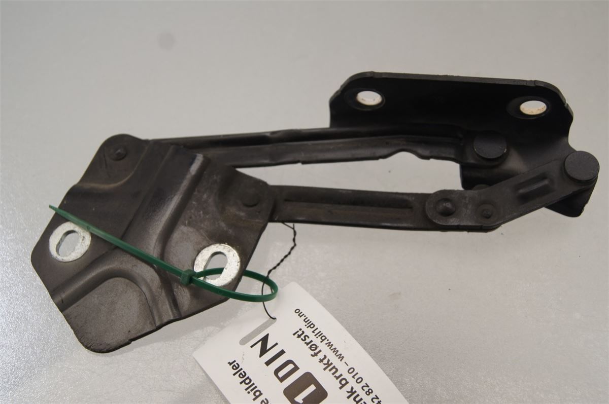 Panser Hengsel / Hengsler – bilde 3