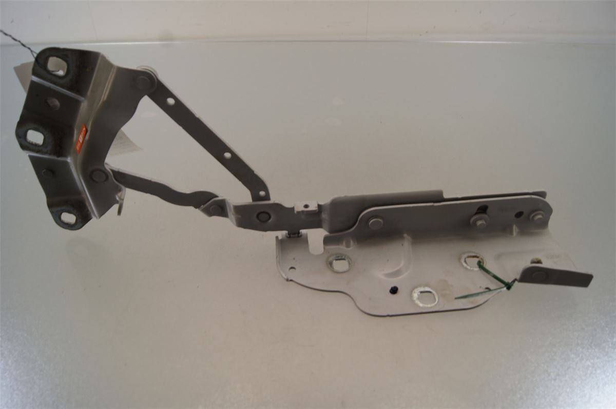 Panser Hengsel / Hengsler – bilde 1