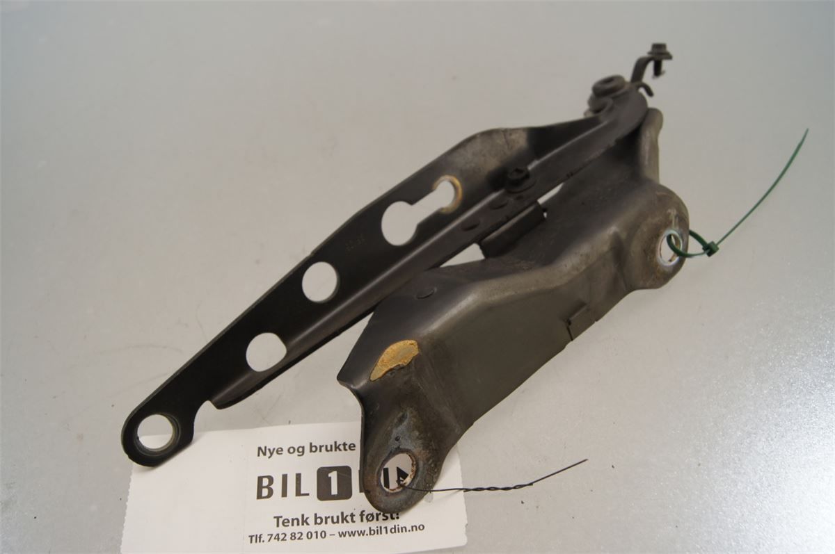 Panser Hengsel / Hengsler – bilde 2
