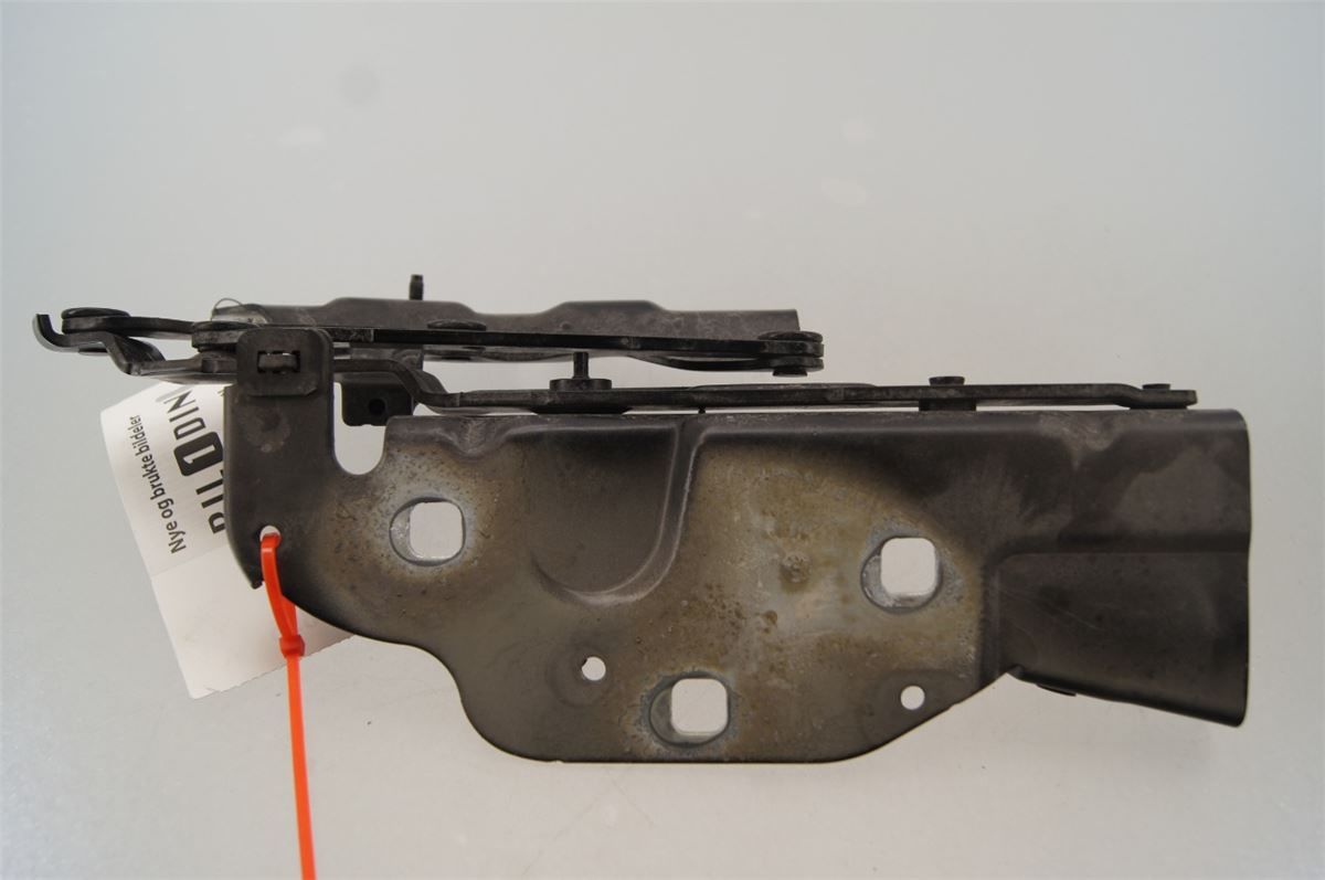 Panser Hengsel / Hengsler – bilde 3