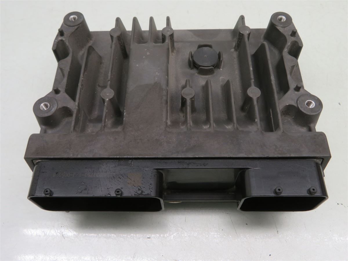 Styreenhet Motor (ECU) Bensin – bilde 1