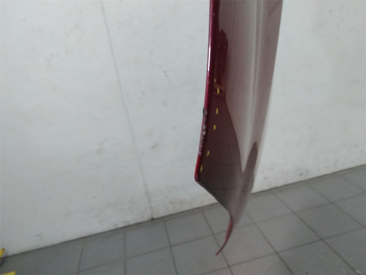 Panser – bilde 2