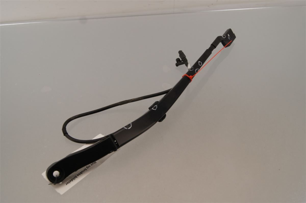 Viskerarm / Armer Frontrute – bilde 1
