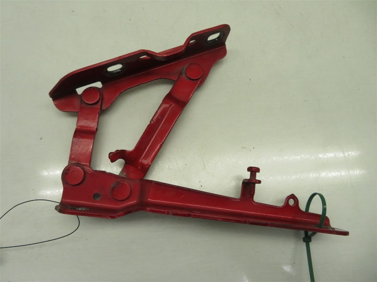 Panser Hengsel / Hengsler – bilde 1